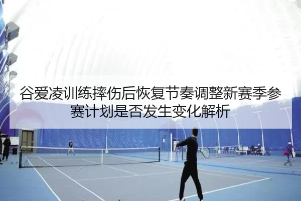 谷爱凌训练摔伤后恢复节奏调整新赛季参赛计划是否发生变化解析